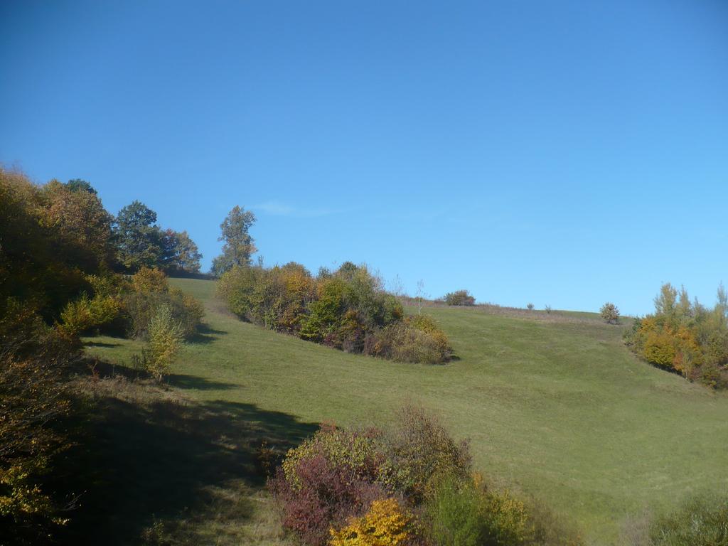 Pensiune Marginimea Sibiului Orlat Exterior foto