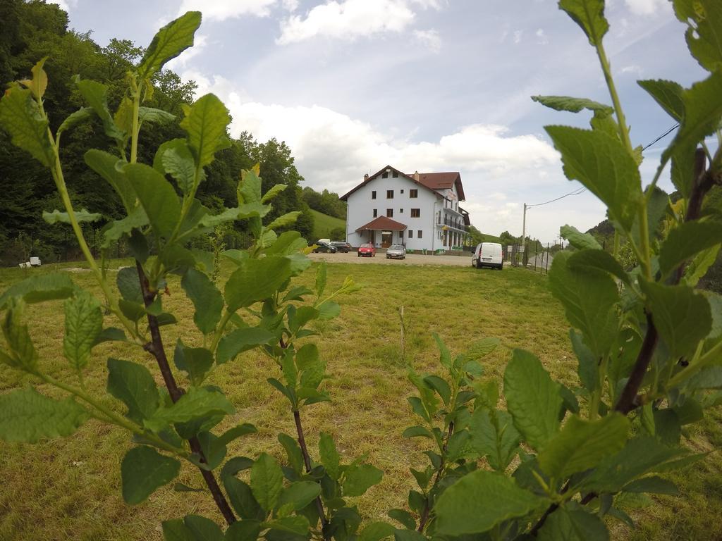 Pensiune Marginimea Sibiului Orlat Exterior foto