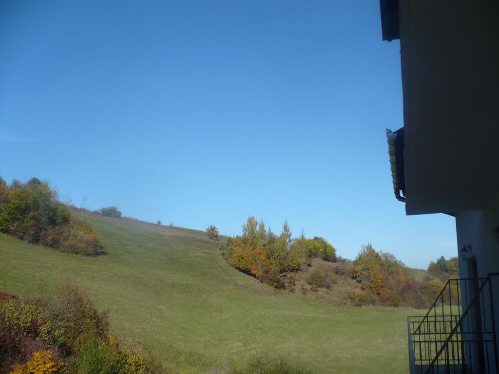 Pensiune Marginimea Sibiului Orlat Exterior foto