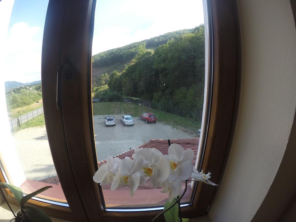 Pensiune Marginimea Sibiului Orlat Exterior foto